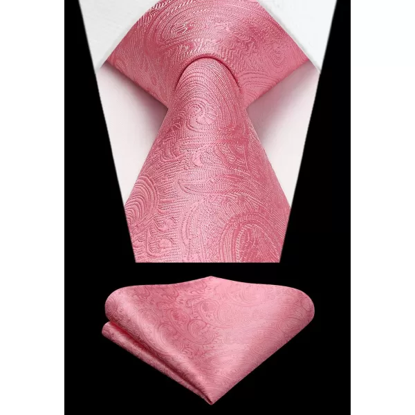 HISDERN Paisley Ties for Men Solid Tie Handkerchief Floral Men's Necktie &amp; Pocket Square Set Wedding Classic Mens Ties