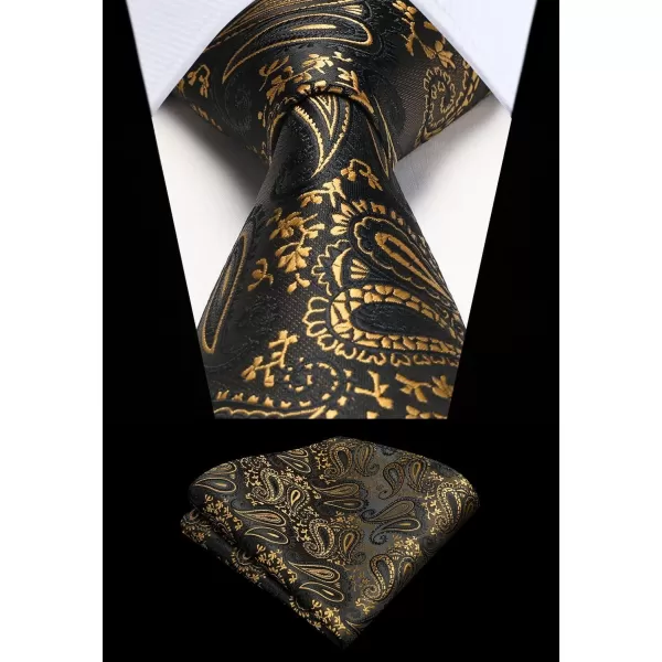 HISDERN Paisley Ties for Men Solid Tie Handkerchief Floral Men's Necktie &amp; Pocket Square Set Wedding Classic Mens Ties