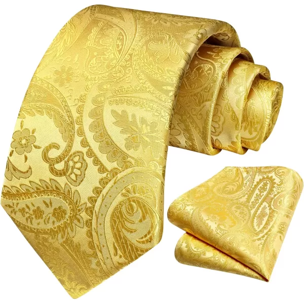 HISDERN Paisley Ties for Men Solid Tie Handkerchief Floral Men's Necktie &amp; Pocket Square Set Wedding Classic Mens Ties