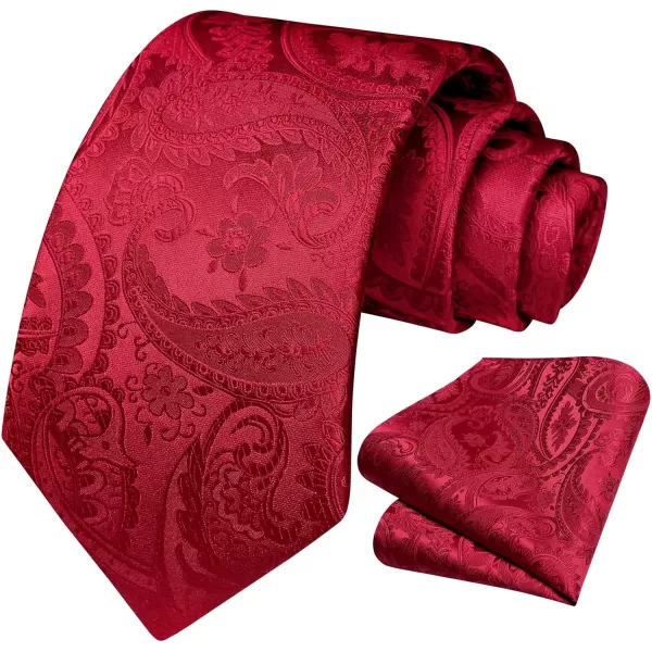 HISDERN Paisley Ties for Men Solid Tie Handkerchief Floral Men's Necktie &amp; Pocket Square Set Wedding Classic Mens Ties