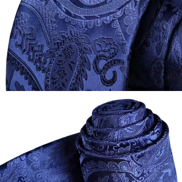 HISDERN Paisley Ties for Men Solid Tie Handkerchief Floral Men's Necktie &amp; Pocket Square Set Wedding Classic Mens Ties