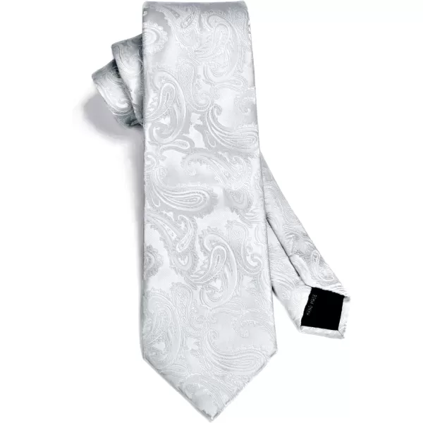 HISDERN Paisley Ties for Men Solid Tie Handkerchief Floral Men's Necktie &amp; Pocket Square Set Wedding Classic Mens Ties