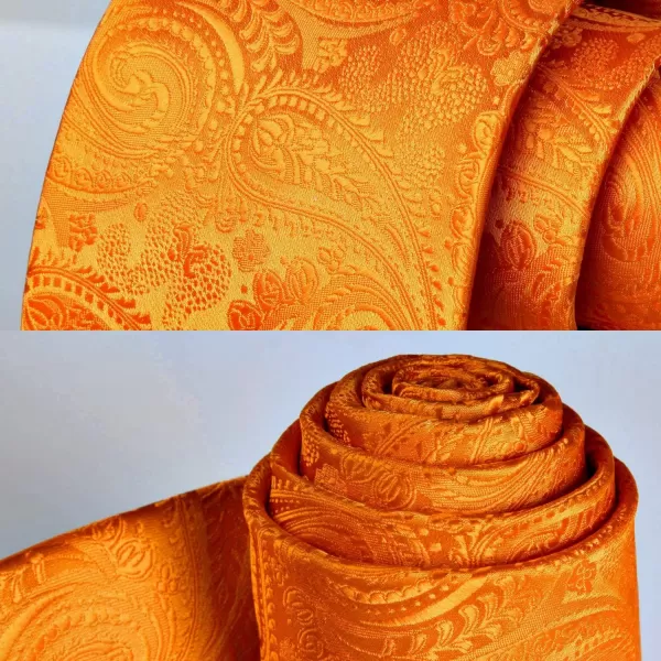 HISDERN Paisley Ties for Men Solid Tie Handkerchief Floral Men's Necktie &amp; Pocket Square Set Wedding Classic Mens Ties