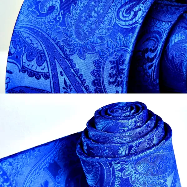 HISDERN Paisley Ties for Men Solid Tie Handkerchief Floral Men's Necktie &amp; Pocket Square Set Wedding Classic Mens Ties