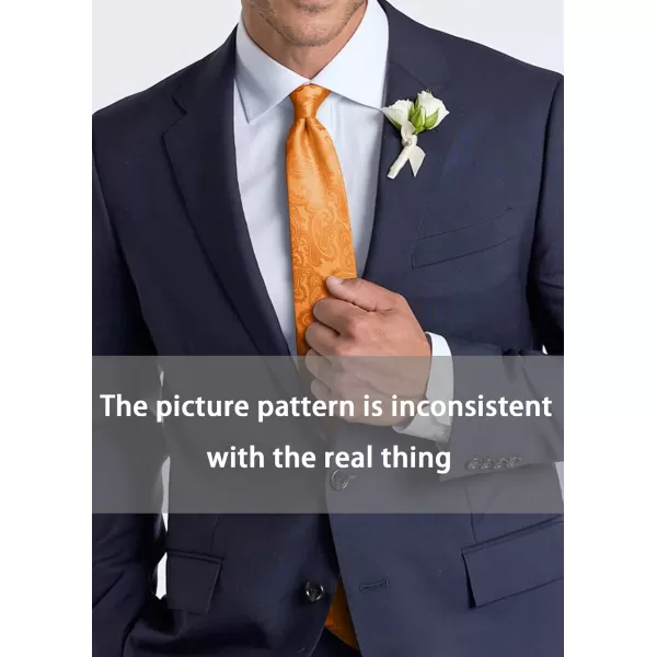 HISDERN Paisley Ties for Men Solid Tie Handkerchief Floral Men's Necktie &amp; Pocket Square Set Wedding Classic Mens Ties