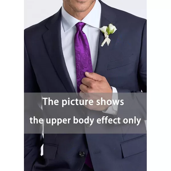 HISDERN Paisley Ties for Men Solid Tie Handkerchief Floral Men's Necktie &amp; Pocket Square Set Wedding Classic Mens Ties