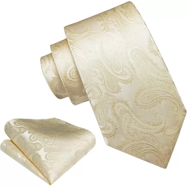 HISDERN Paisley Ties for Men Solid Tie Handkerchief Floral Men's Necktie &amp; Pocket Square Set Wedding Classic Mens Ties