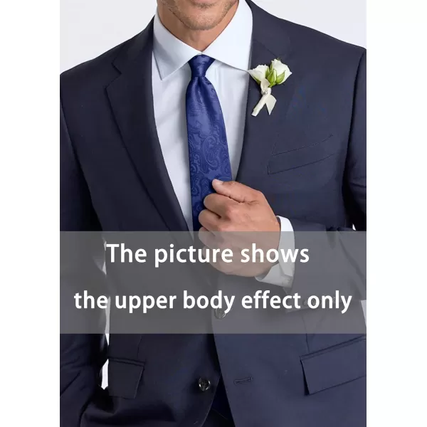 HISDERN Paisley Ties for Men Solid Tie Handkerchief Floral Men's Necktie &amp; Pocket Square Set Wedding Classic Mens Ties