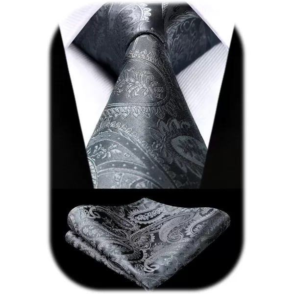 HISDERN Paisley Ties for Men Solid Tie Handkerchief Floral Men's Necktie &amp; Pocket Square Set Wedding Classic Mens Ties