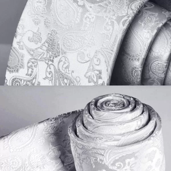 HISDERN Paisley Ties for Men Solid Tie Handkerchief Floral Men's Necktie &amp; Pocket Square Set Wedding Classic Mens Ties