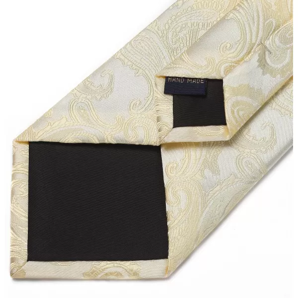 HISDERN Paisley Ties for Men Solid Tie Handkerchief Floral Men's Necktie &amp; Pocket Square Set Wedding Classic Mens Ties