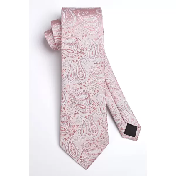 HISDERN Paisley Ties for Men Solid Tie Handkerchief Floral Men's Necktie &amp; Pocket Square Set Wedding Classic Mens Ties