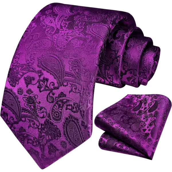 HISDERN Paisley Ties for Men Solid Tie Handkerchief Floral Men's Necktie &amp; Pocket Square Set Wedding Classic Mens Ties