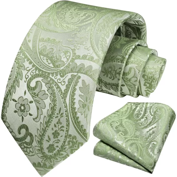 HISDERN Paisley Ties for Men Solid Tie Handkerchief Floral Men's Necktie &amp; Pocket Square Set Wedding Classic Mens Ties