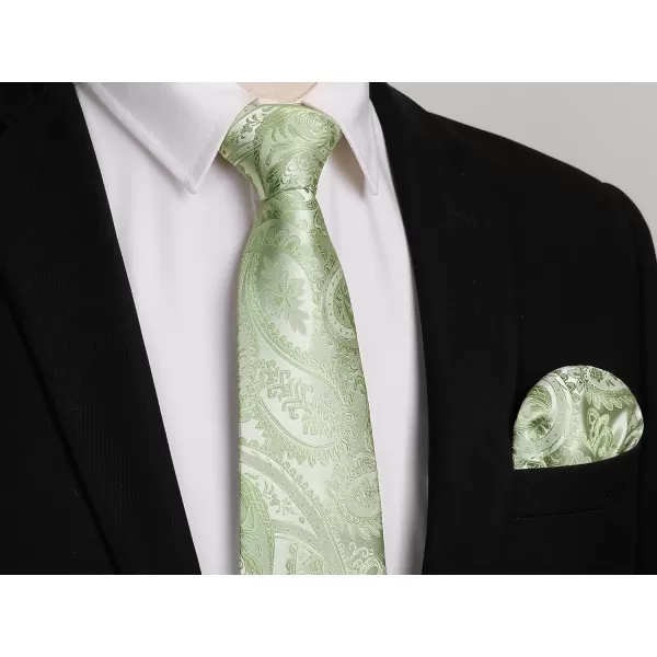 HISDERN Paisley Ties for Men Solid Tie Handkerchief Floral Men's Necktie &amp; Pocket Square Set Wedding Classic Mens Ties