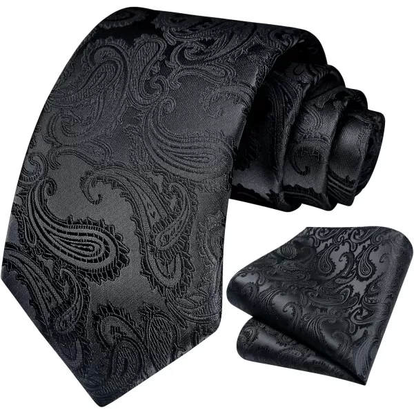 HISDERN Paisley Ties for Men Solid Tie Handkerchief Floral Men's Necktie &amp; Pocket Square Set Wedding Classic Mens Ties