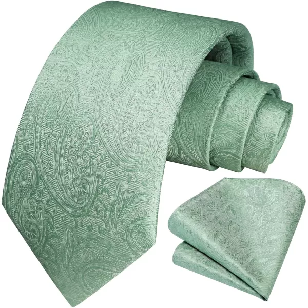 HISDERN Paisley Ties for Men Solid Tie Handkerchief Floral Men's Necktie &amp; Pocket Square Set Wedding Classic Mens Ties