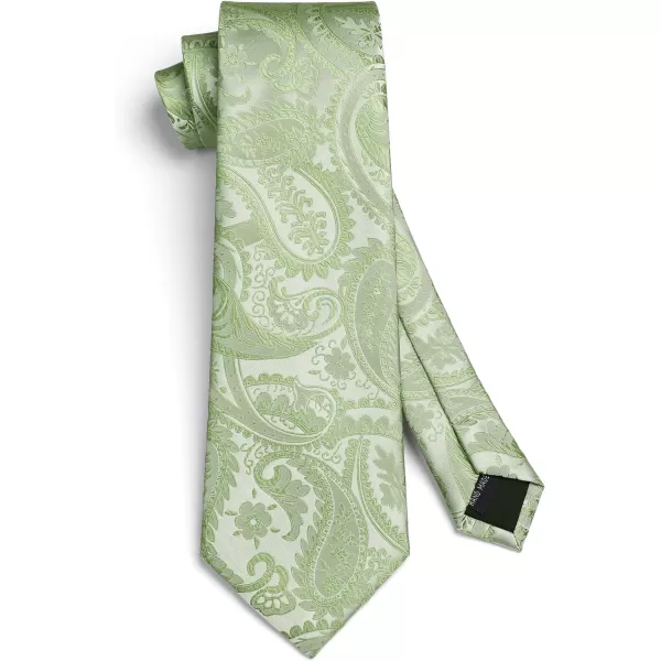 HISDERN Paisley Ties for Men Solid Tie Handkerchief Floral Men's Necktie &amp; Pocket Square Set Wedding Classic Mens Ties
