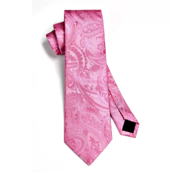 HISDERN Paisley Ties for Men Solid Tie Handkerchief Floral Men's Necktie &amp; Pocket Square Set Wedding Classic Mens Ties