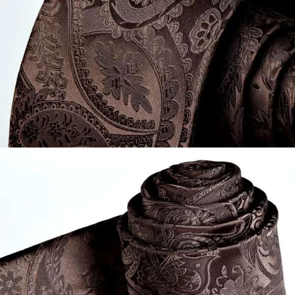 HISDERN Paisley Ties for Men Solid Tie Handkerchief Floral Men's Necktie &amp; Pocket Square Set Wedding Classic Mens Ties