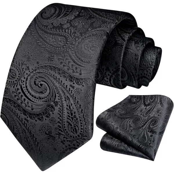 HISDERN Paisley Ties for Men Solid Tie Handkerchief Floral Men's Necktie &amp; Pocket Square Set Wedding Classic Mens Ties