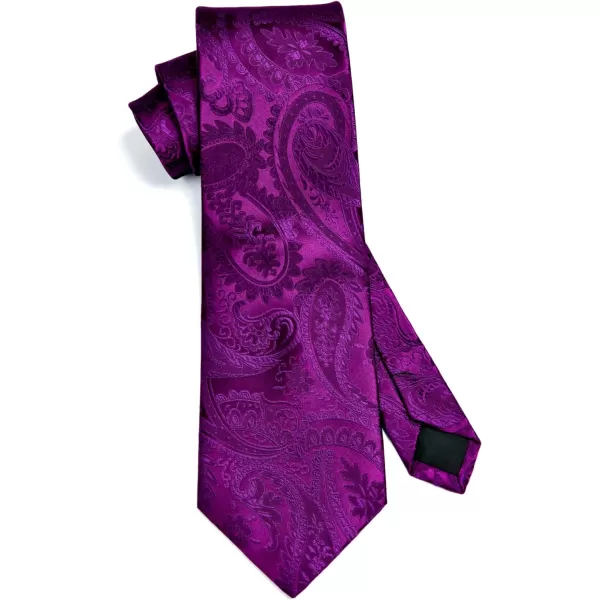 HISDERN Paisley Ties for Men Solid Tie Handkerchief Floral Men's Necktie &amp; Pocket Square Set Wedding Classic Mens Ties
