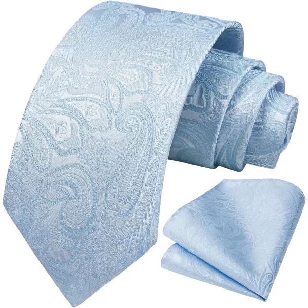 HISDERN Paisley Ties for Men Solid Tie Handkerchief Floral Men's Necktie &amp; Pocket Square Set Wedding Classic Mens Ties