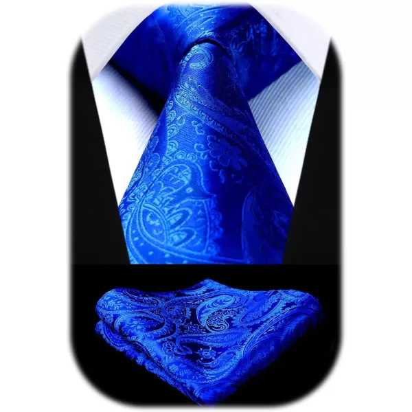 HISDERN Paisley Ties for Men Solid Tie Handkerchief Floral Men's Necktie &amp; Pocket Square Set Wedding Classic Mens Ties