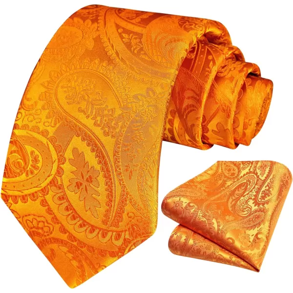 HISDERN Paisley Ties for Men Solid Tie Handkerchief Floral Men's Necktie &amp; Pocket Square Set Wedding Classic Mens Ties