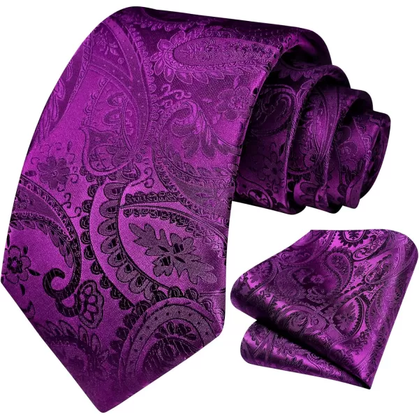 HISDERN Paisley Ties for Men Solid Tie Handkerchief Floral Men's Necktie &amp; Pocket Square Set Wedding Classic Mens Ties