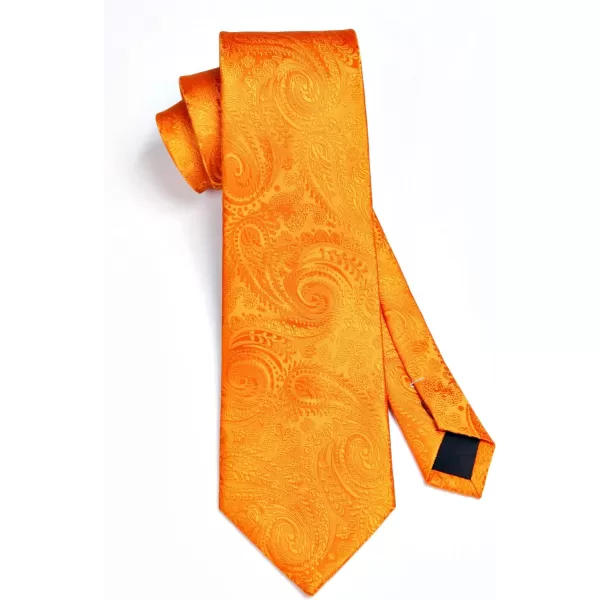 HISDERN Paisley Ties for Men Solid Tie Handkerchief Floral Men's Necktie &amp; Pocket Square Set Wedding Classic Mens Ties