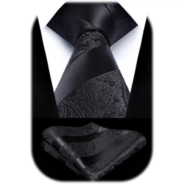 HISDERN Paisley Ties for Men Solid Tie Handkerchief Floral Men's Necktie &amp; Pocket Square Set Wedding Classic Mens Ties