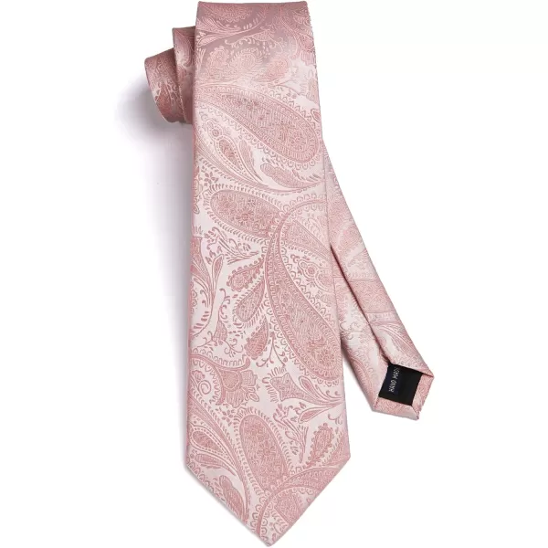 HISDERN Paisley Ties for Men Solid Tie Handkerchief Floral Men's Necktie &amp; Pocket Square Set Wedding Classic Mens Ties
