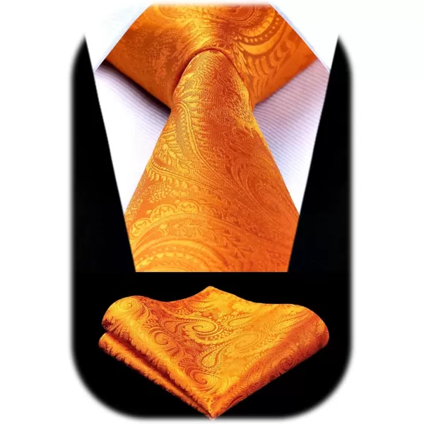 HISDERN Paisley Ties for Men Solid Tie Handkerchief Floral Men's Necktie &amp; Pocket Square Set Wedding Classic Mens Ties