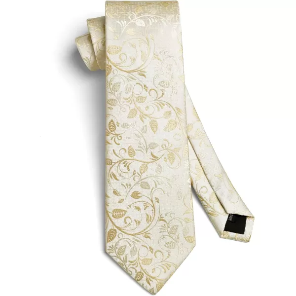 HISDERN Paisley Ties for Men Solid Tie Handkerchief Floral Men's Necktie &amp; Pocket Square Set Wedding Classic Mens Ties