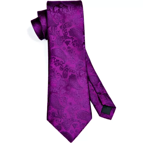 HISDERN Paisley Ties for Men Solid Tie Handkerchief Floral Men's Necktie &amp; Pocket Square Set Wedding Classic Mens Ties