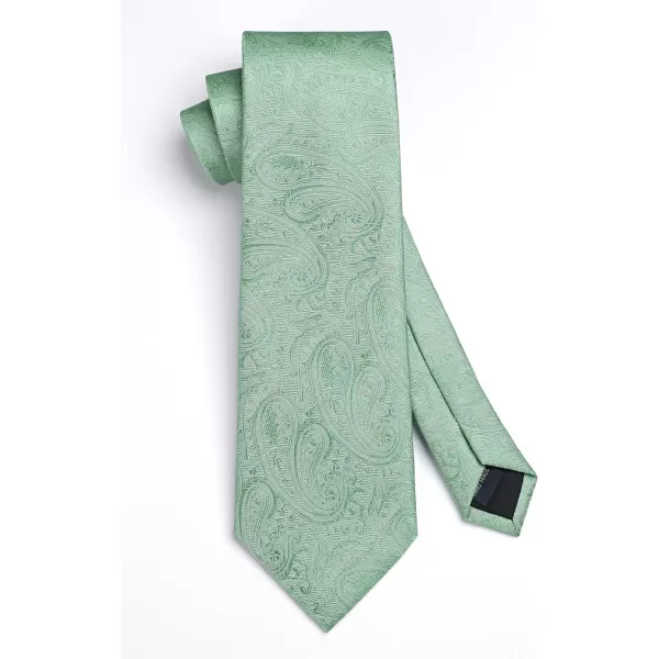 HISDERN Paisley Ties for Men Solid Tie Handkerchief Floral Men's Necktie &amp; Pocket Square Set Wedding Classic Mens Ties