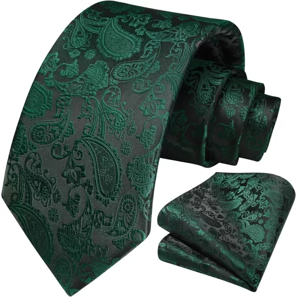 HISDERN Paisley Ties for Men Solid Tie Handkerchief Floral Men's Necktie &amp; Pocket Square Set Wedding Classic Mens Ties