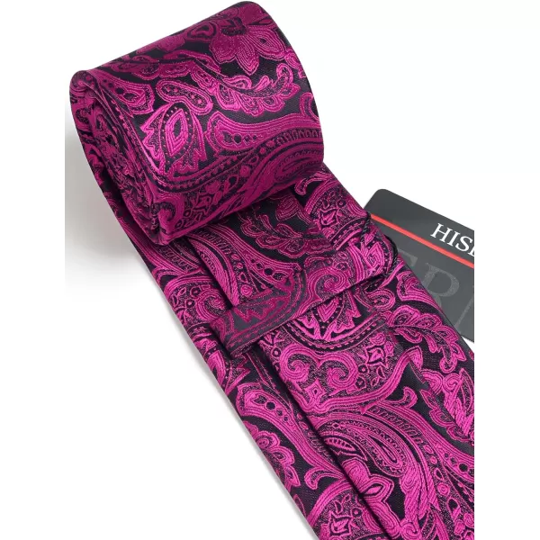 HISDERN Paisley Ties for Men Solid Tie Handkerchief Floral Men's Necktie &amp; Pocket Square Set Wedding Classic Mens Ties