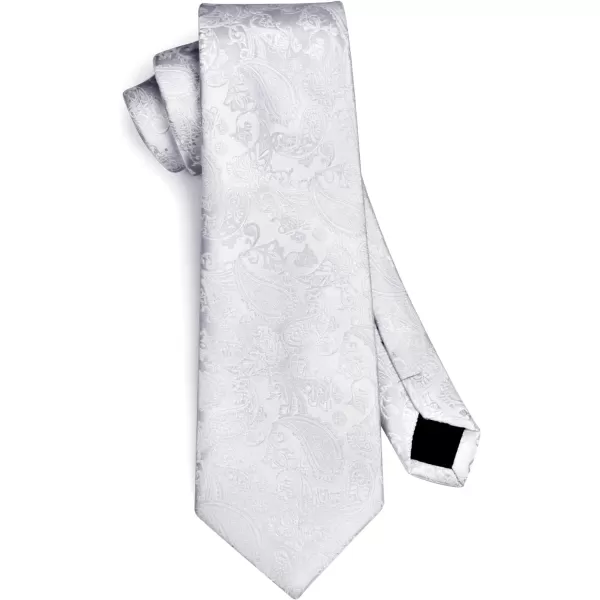 HISDERN Paisley Ties for Men Solid Tie Handkerchief Floral Men's Necktie &amp; Pocket Square Set Wedding Classic Mens Ties