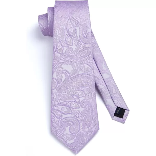 HISDERN Paisley Ties for Men Solid Tie Handkerchief Floral Men's Necktie &amp; Pocket Square Set Wedding Classic Mens Ties