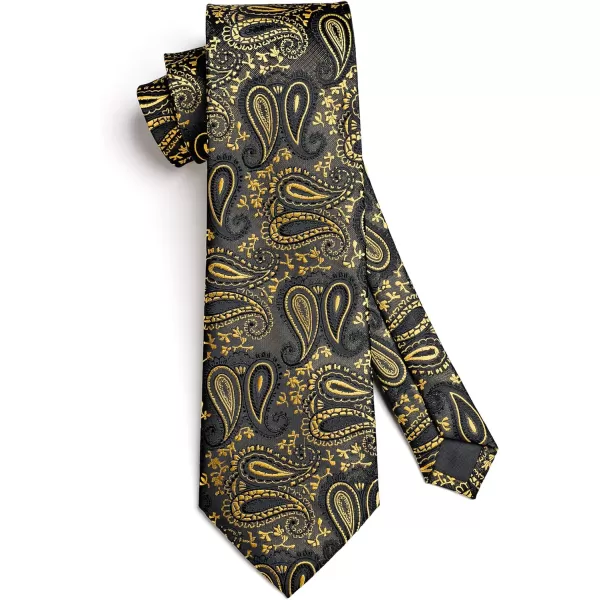 HISDERN Paisley Ties for Men Solid Tie Handkerchief Floral Men's Necktie &amp; Pocket Square Set Wedding Classic Mens Ties
