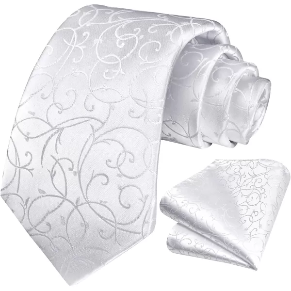 HISDERN Paisley Ties for Men Solid Tie Handkerchief Floral Men's Necktie &amp; Pocket Square Set Wedding Classic Mens Ties