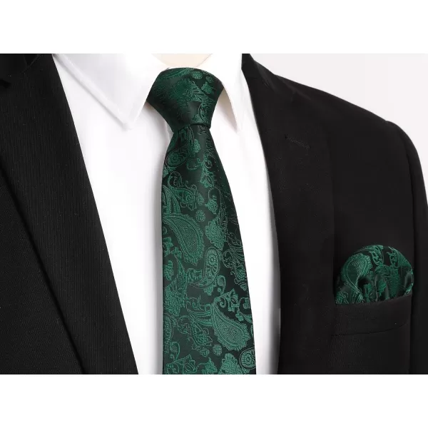 HISDERN Paisley Ties for Men Solid Tie Handkerchief Floral Men's Necktie &amp; Pocket Square Set Wedding Classic Mens Ties