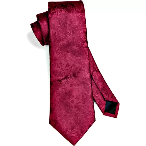 HISDERN Paisley Ties for Men Solid Tie Handkerchief Floral Men's Necktie &amp; Pocket Square Set Wedding Classic Mens Ties