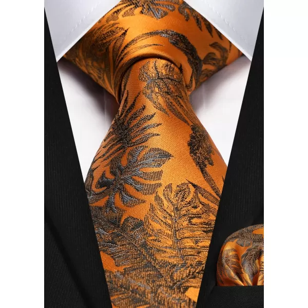 HISDERN Paisley Ties for Men Solid Tie Handkerchief Floral Men's Necktie &amp; Pocket Square Set Wedding Classic Mens Ties