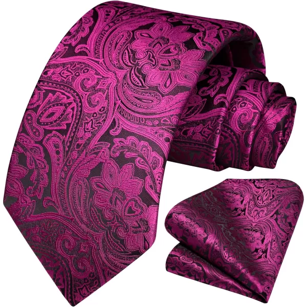 HISDERN Paisley Ties for Men Solid Tie Handkerchief Floral Men's Necktie &amp; Pocket Square Set Wedding Classic Mens Ties