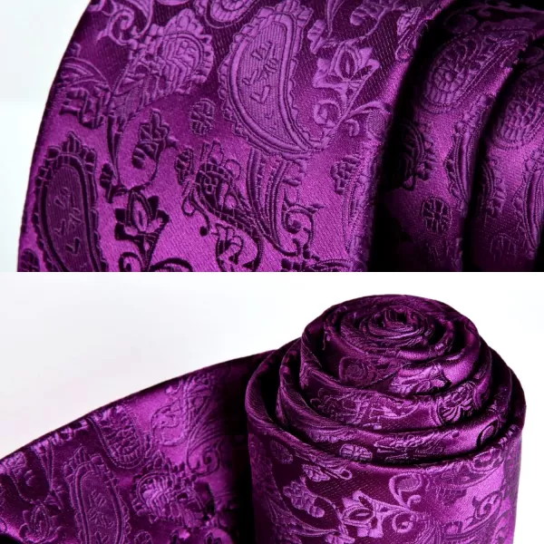 HISDERN Paisley Ties for Men Solid Tie Handkerchief Floral Men's Necktie &amp; Pocket Square Set Wedding Classic Mens Ties