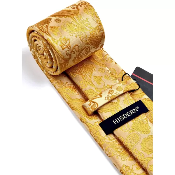 HISDERN Paisley Ties for Men Solid Tie Handkerchief Floral Men's Necktie &amp; Pocket Square Set Wedding Classic Mens Ties