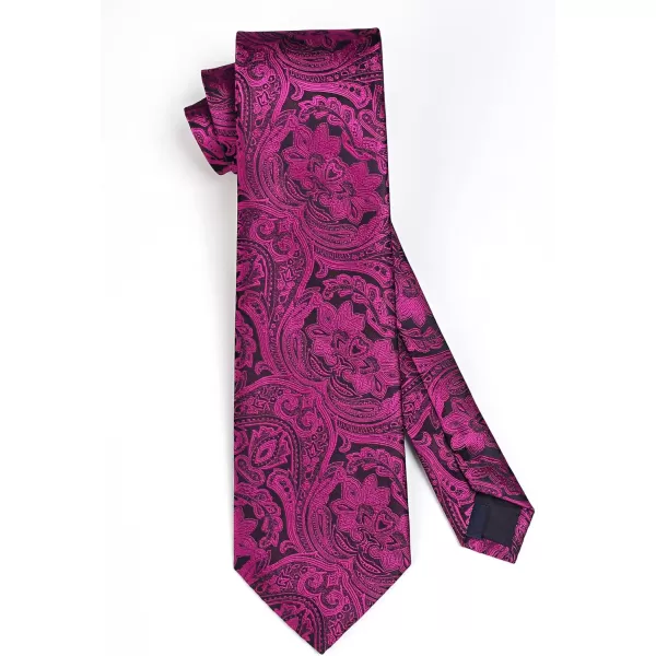HISDERN Paisley Ties for Men Solid Tie Handkerchief Floral Men's Necktie &amp; Pocket Square Set Wedding Classic Mens Ties